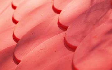 Newnham plastic roof costs